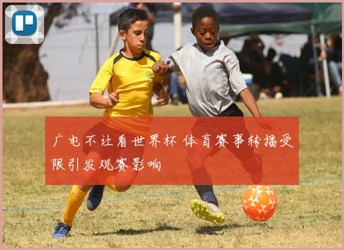 广电不让看世界杯 体育赛事转播受限引发观赛影响