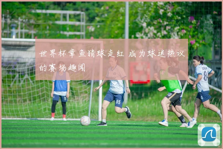 世界杯章鱼猜球走红 成为球迷热议的赛场趣闻